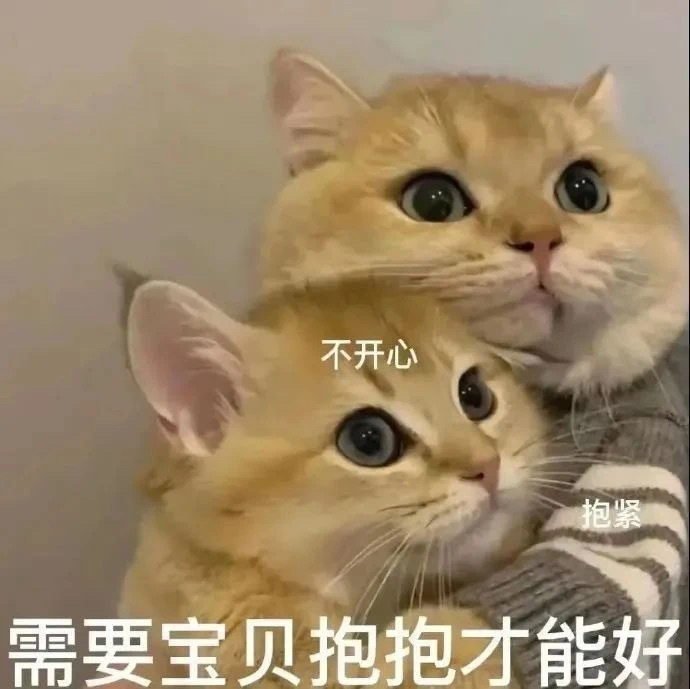 表情包