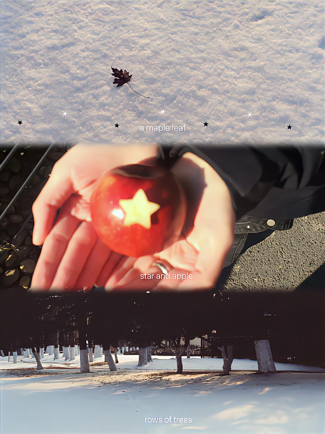 苹果可不是无聊的水果🍎 ​​​✨ 
#女生头像##头像# ​