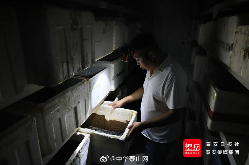 【乡村振兴丨从一季红火到四季增收 宁阳做强鸣虫特色产业】每年7至10月，泗店镇街头热闹喧嚣，村民提着盛满蟋蟀的编织篮向各地客商展示虫品，全国各地蟋蟀爱好者云集于此。旺季期间，食宿、购销、文旅消费火热，全县蟋蟀相关产业年产值达6亿元，催生出蟋蟀饲养、训虫、线上销售、配件加工等特色业态， ​