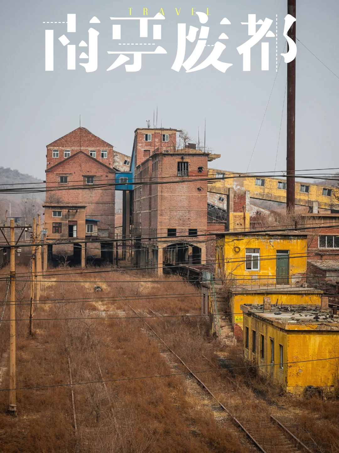 人类消失后的城镇，但这里还没忘记他们