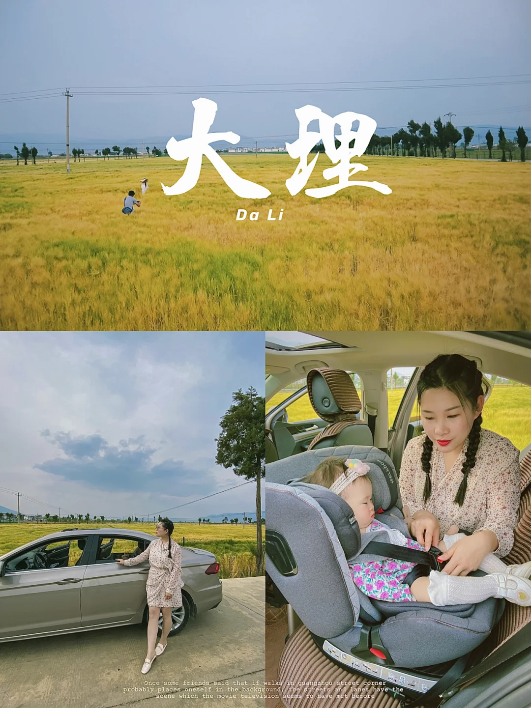 大理喜洲4、5月的金色麦浪太美了|附攻略