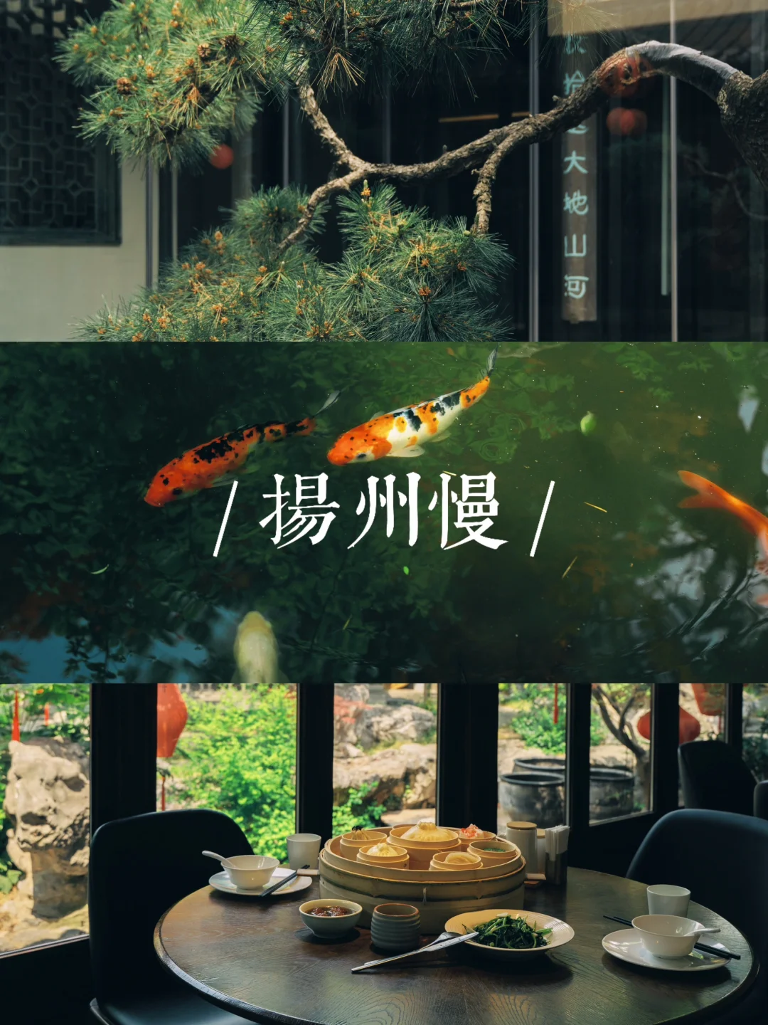 扬州慢🏠东关街一巷之隔，找到了世外桃源