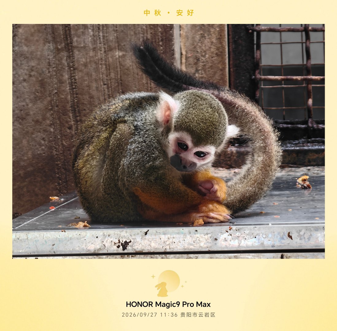 #荣耀Magic9ProMax年度夯机#荣耀Magic9ProMax这次真的夯爆了，黑钻屏息屏显示屏幕黑的特别深邃，显示效果非常不错，而且发布会上面用小型切割机切都没有事，机身握持手感舒服（裸机），值得入手。 ​