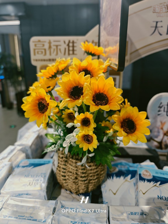 菊花是秋天的门票