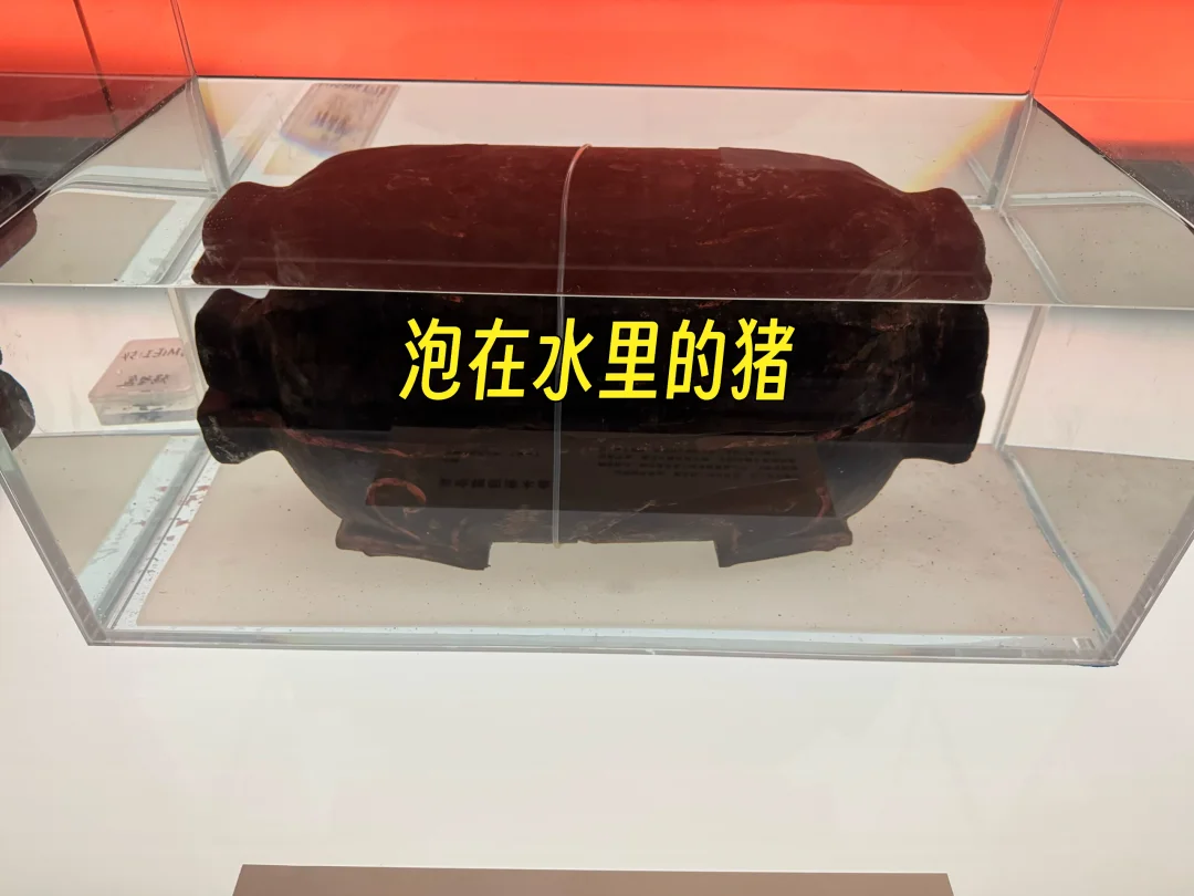 武王墩一号墓出土猪型漆木盒