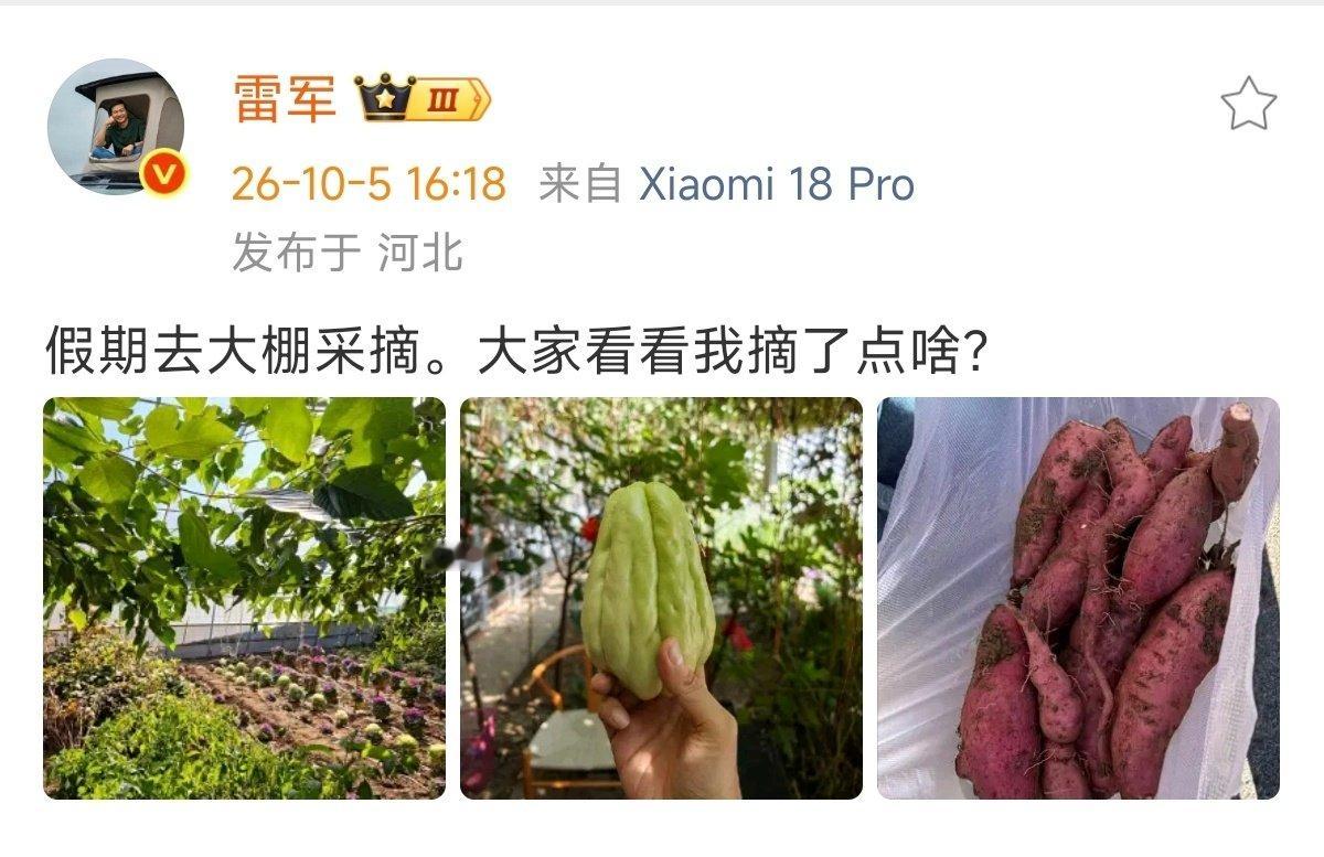 #雷军假期去大棚采摘#话说，雷军去大棚摘东西，这次没有人偶遇吗？ ​