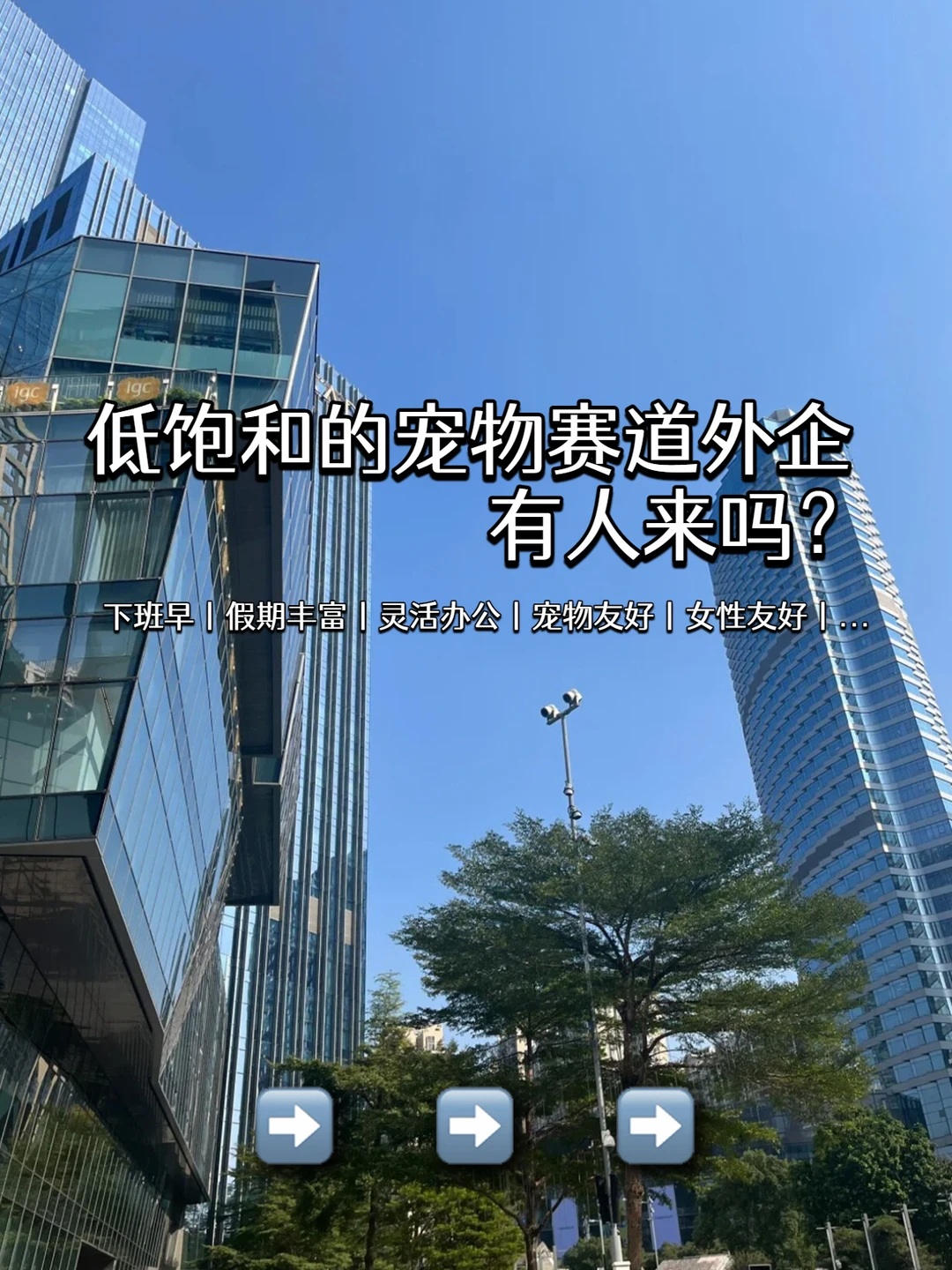 低饱和的宠物赛道外企 有人来吗？
