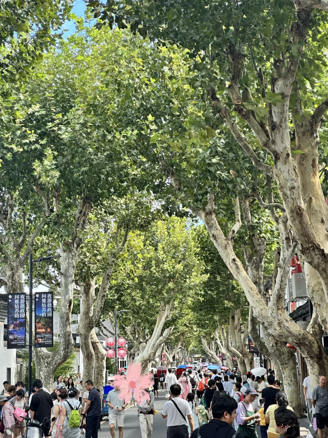 苏州姑苏｜东北街