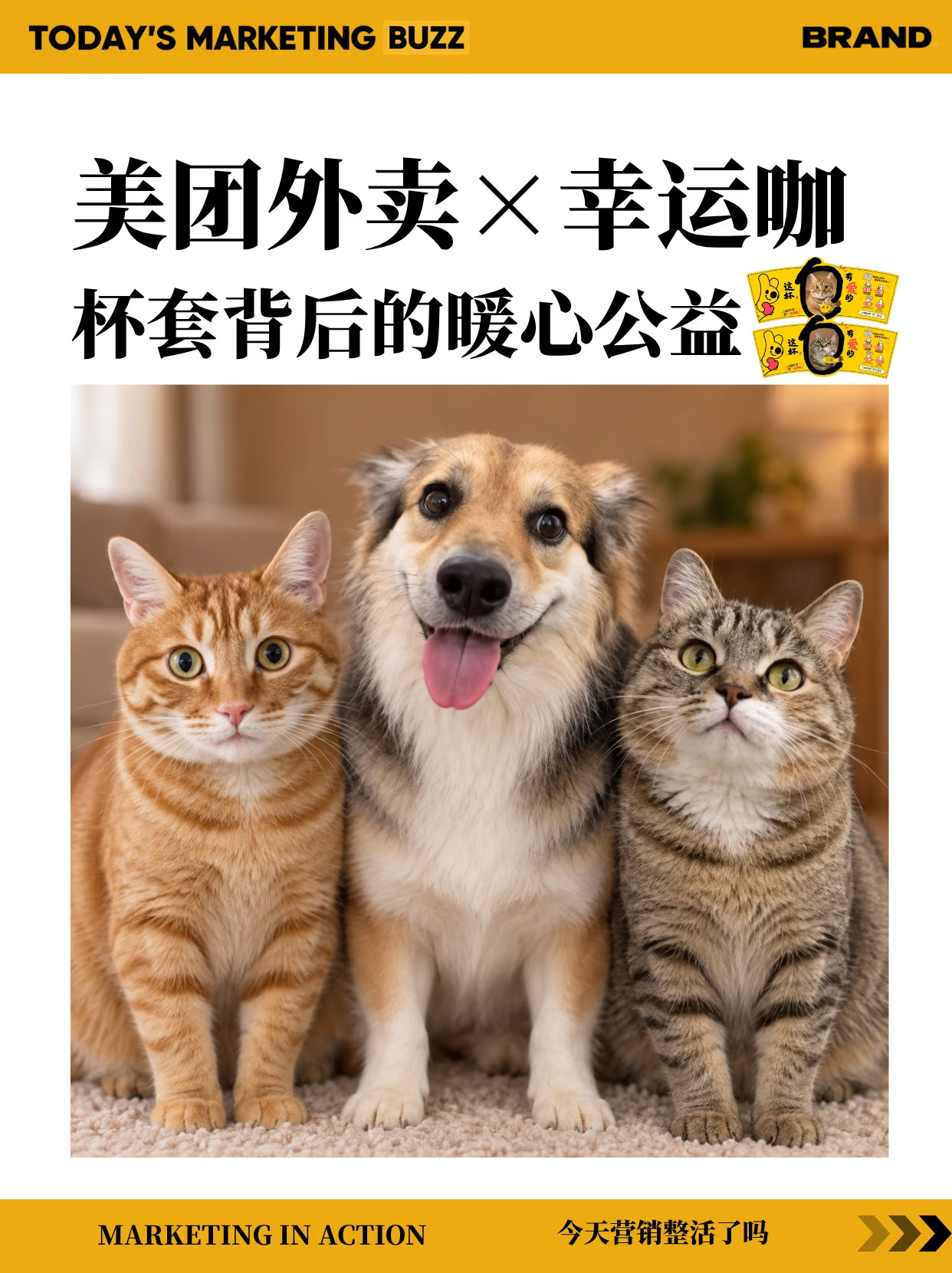 美团外卖×幸运咖，杯套背后的暖心公益