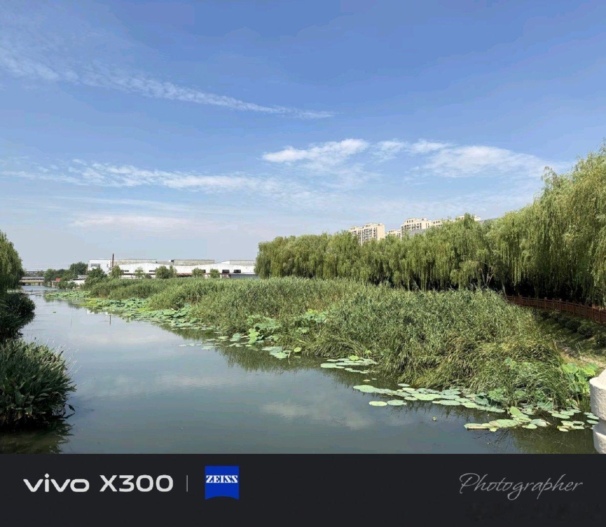 #vivo[超话]##vivo超话# 河边静静流淌的河水，荷叶芦苇随风轻轻晃，安安静静的景色让人心里舒坦。 ​