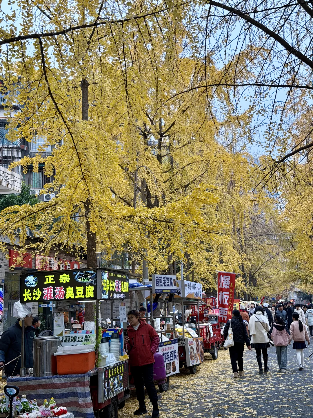 成都 美到失语🍂🍂🍂好city啊‼️