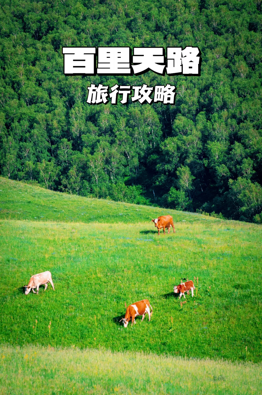 北京出发3h可达，超乎想象的小众路线