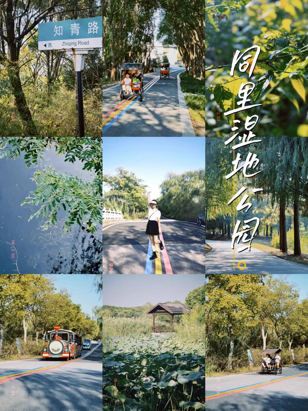 苏州国庆好去处 | 来同里湿地免费大氧吧❗️