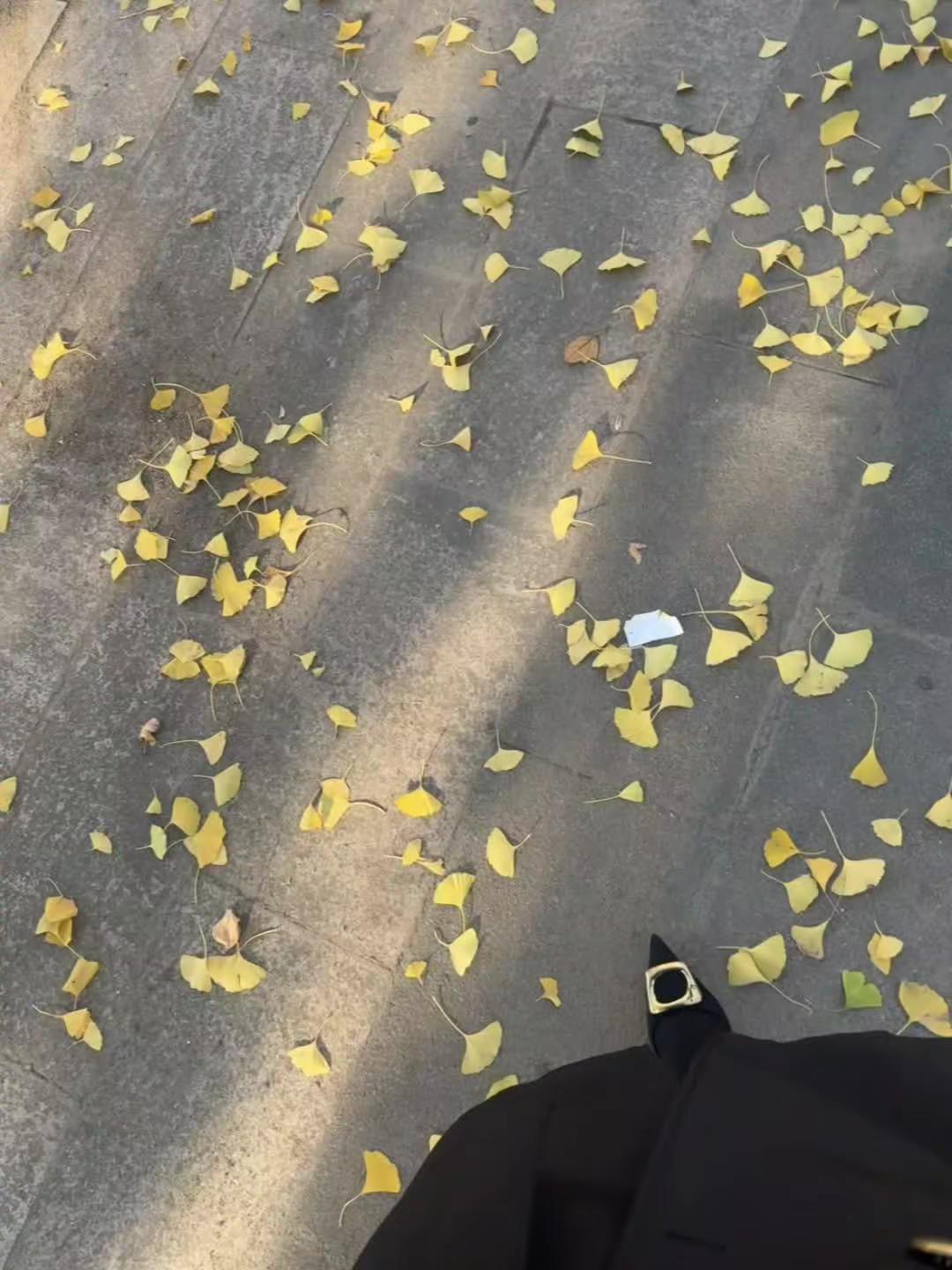 “厚黑美学懂得都懂……”