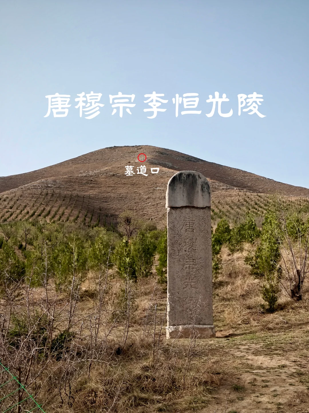 唐穆宗李恒光陵南门神道西侧石刻