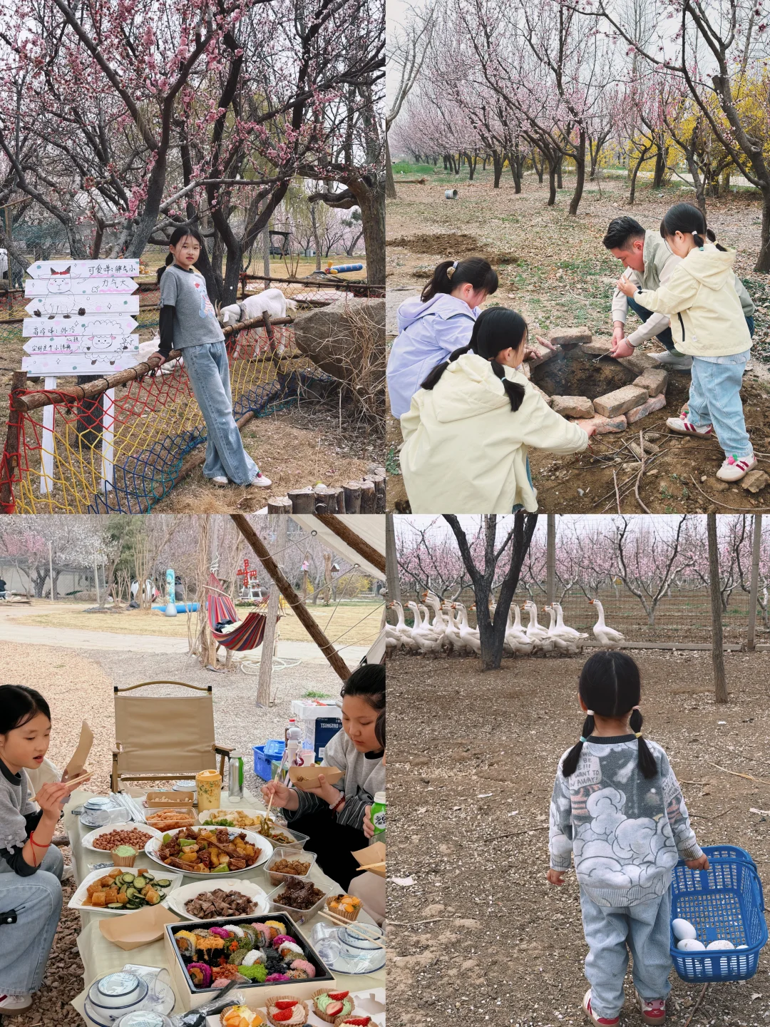 潍坊遛娃 | 亲子团建露营的超性价比农场