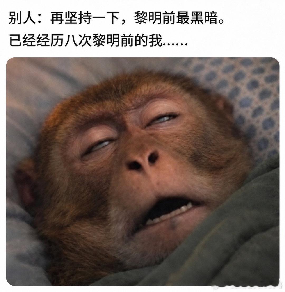 分享图片 ​