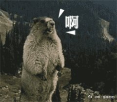 deepseek这次涨价，实测，太贵了

网友说

它帮我改了一行代码，就一行！用了我2块钱，

心痛。 ​