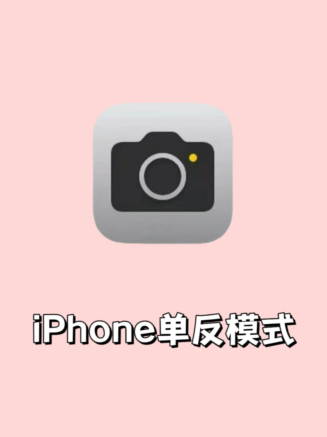 泰裤辣‼️这样设置让iPhone秒变单反📷