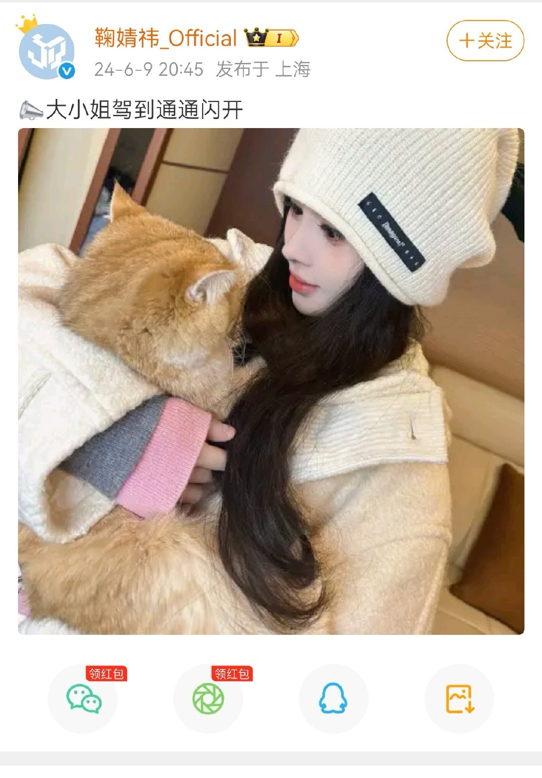 橘丝：我勒个大胖猫 鞠婧祎抱得动吗🥲
嘻嘻：开庭记得带上你这破评论🤬 
这就是爱会让猫长出血肉，溺爱会让嘻嘻长出板油吗 ​