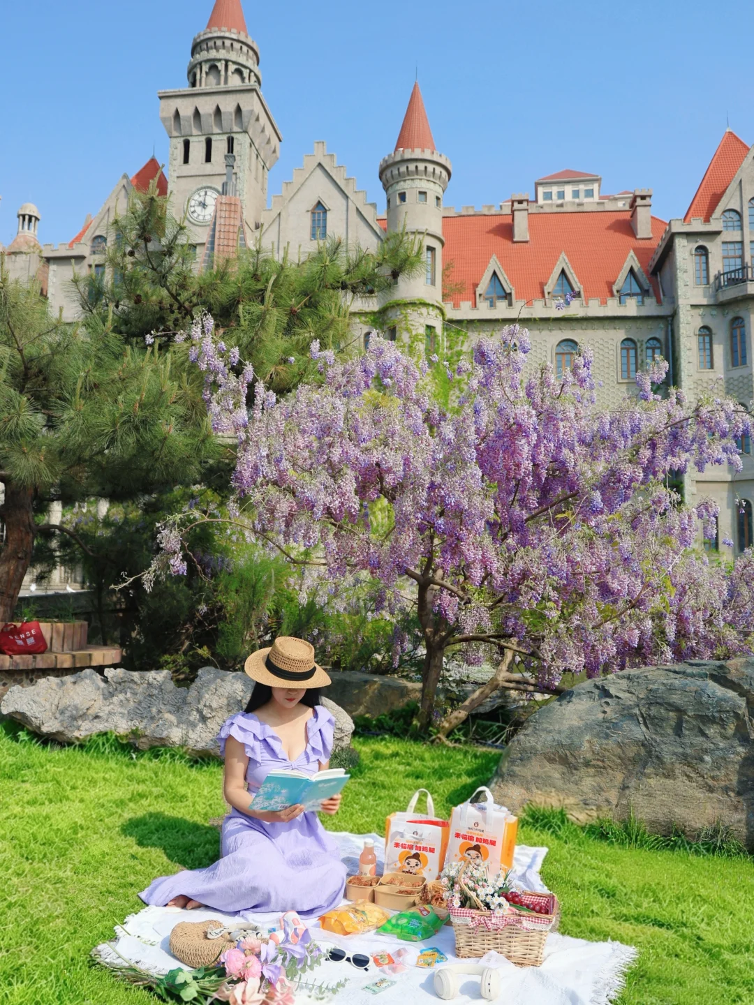 天津欧式城堡野餐‼️紫藤萝瀑布太美了