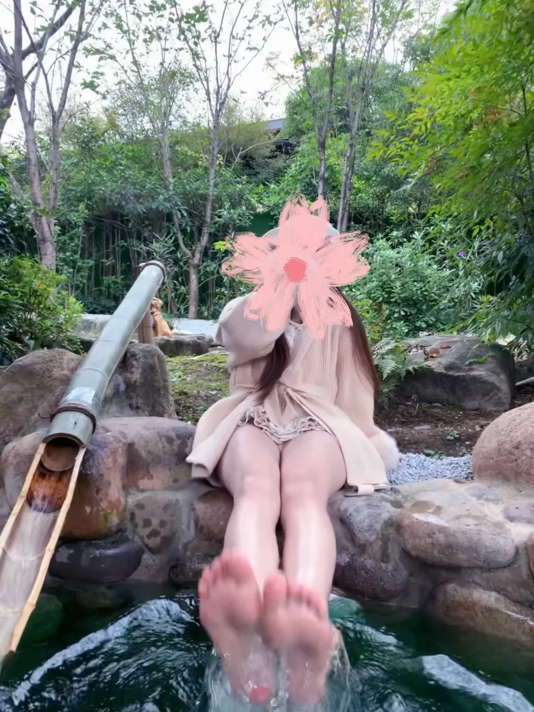 椿去湫来 海棠花开🎐