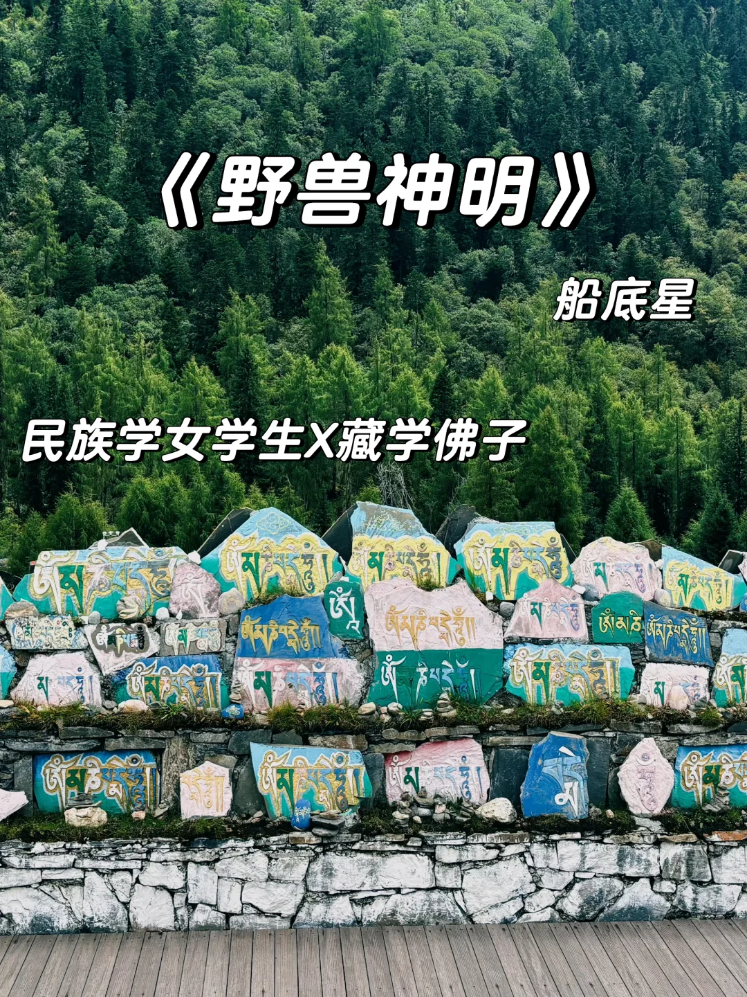 公路文+破镜重圆，超好看！！！！