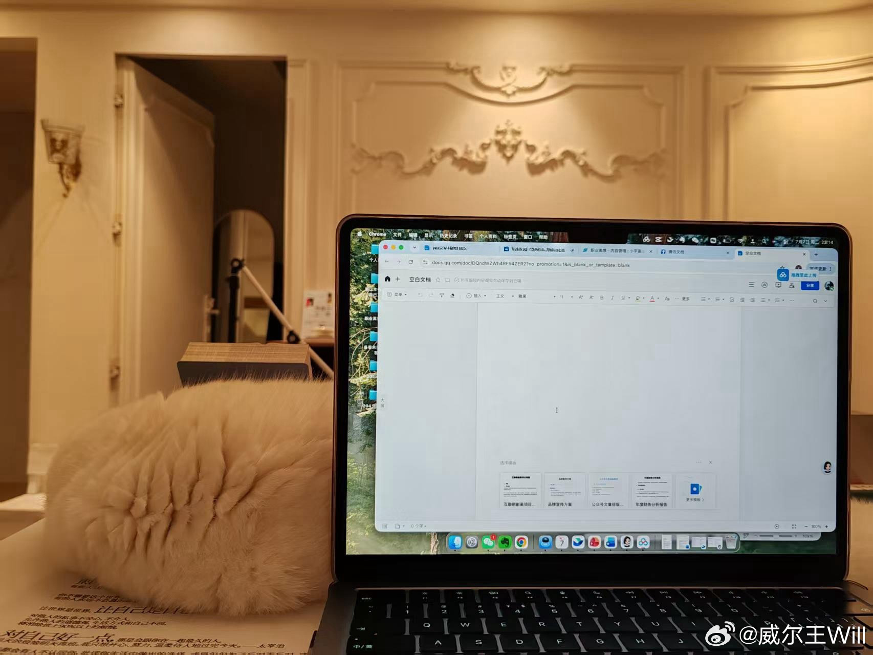 每晚的写作日常，小猫支架 ​​​