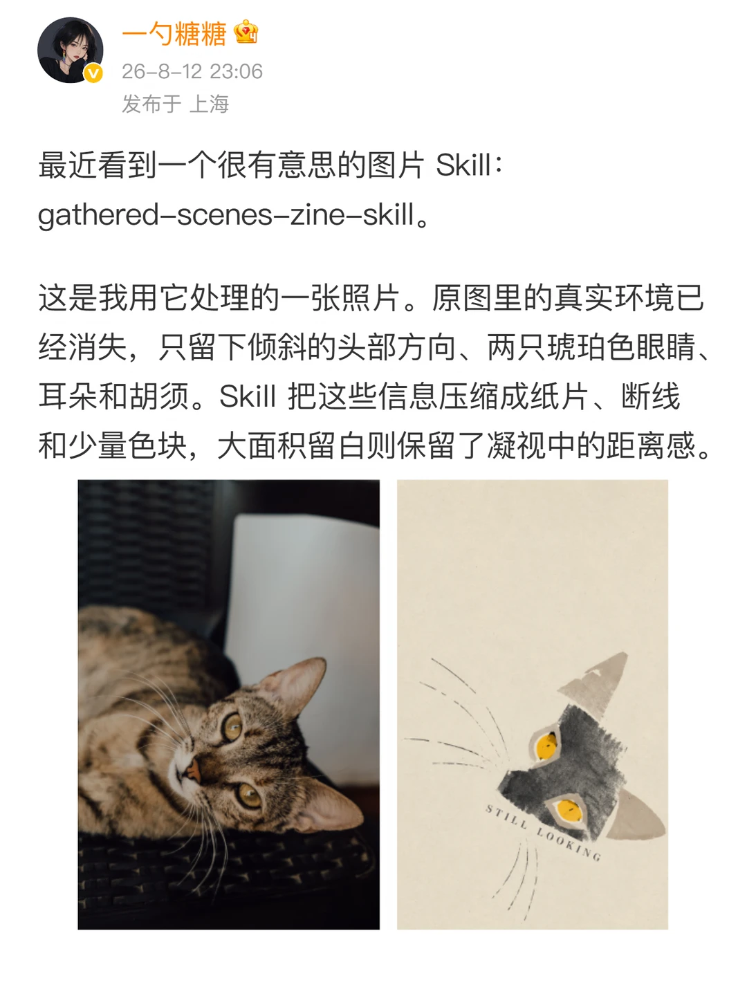 分享最近爆火的Skill，把照片变成画刊