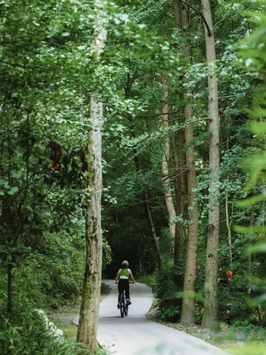 成都0.5h❤超舒服骑行绿道❗新手友好不费腿