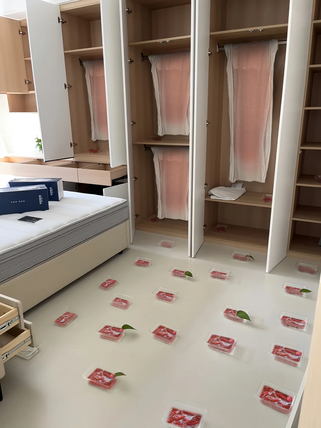 入住了，劝大家不要因为无知毁了健康（甲醛）