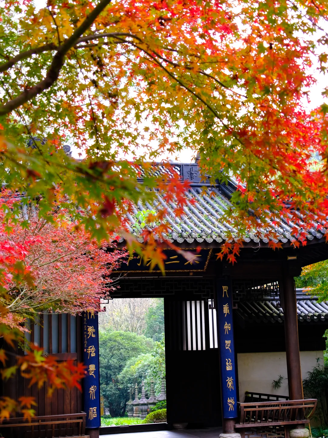 是谁还没拍过永福寺的枫叶🍁