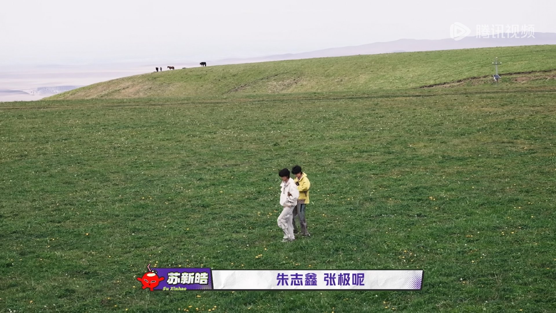 这个妯娌连襟塑真的闹麻了 ​