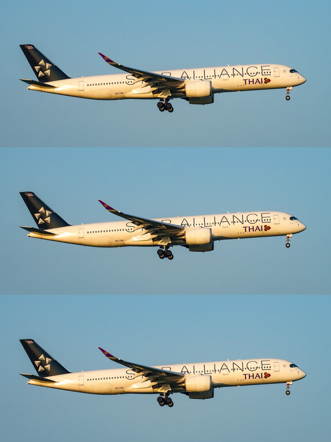 雪绒花航空第5、6架A350-900，来自泰航❓