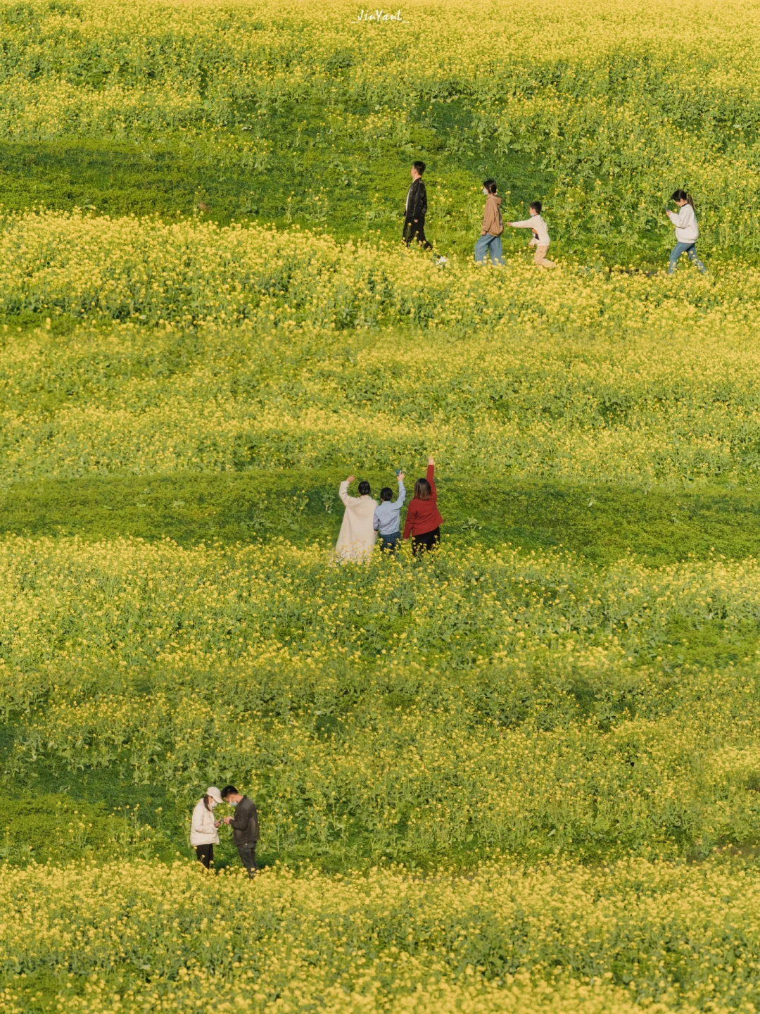 厦门春天藏不住了‼️被蔡尖尾山油菜花海美哭