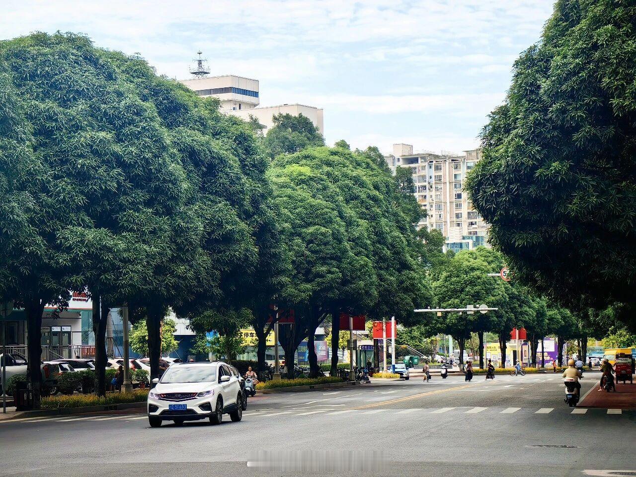 【#好天气持续在线！未来7天梧州晴到多云，最高气温33～35℃#】今天梧州的上空白云如絮，又是晴朗的一天。据梧州市气象台预计，未来七天（10月9日至10月16日）我市以晴到多云天气为主，气温较高，各地最高气温33～35℃。 #梧州天气# ​​​​ ​​​​#梧州[地点]# ​