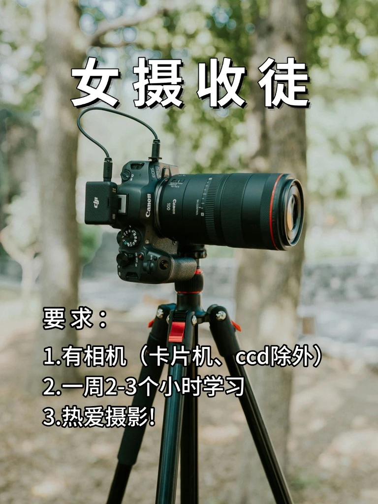 突然很想交人学摄影啊📸！