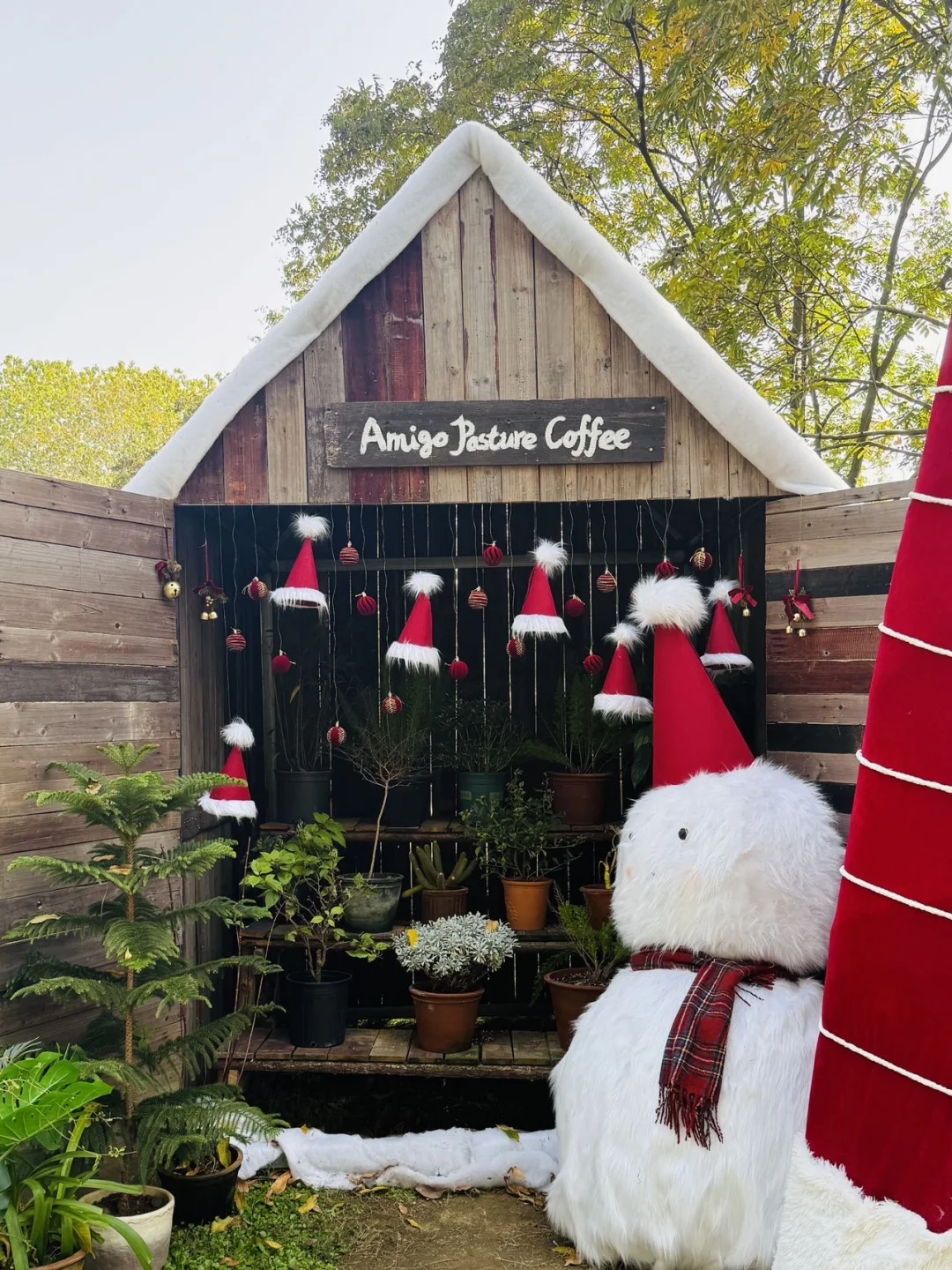 莫干山提前把圣诞氛围感拉满了！🎄