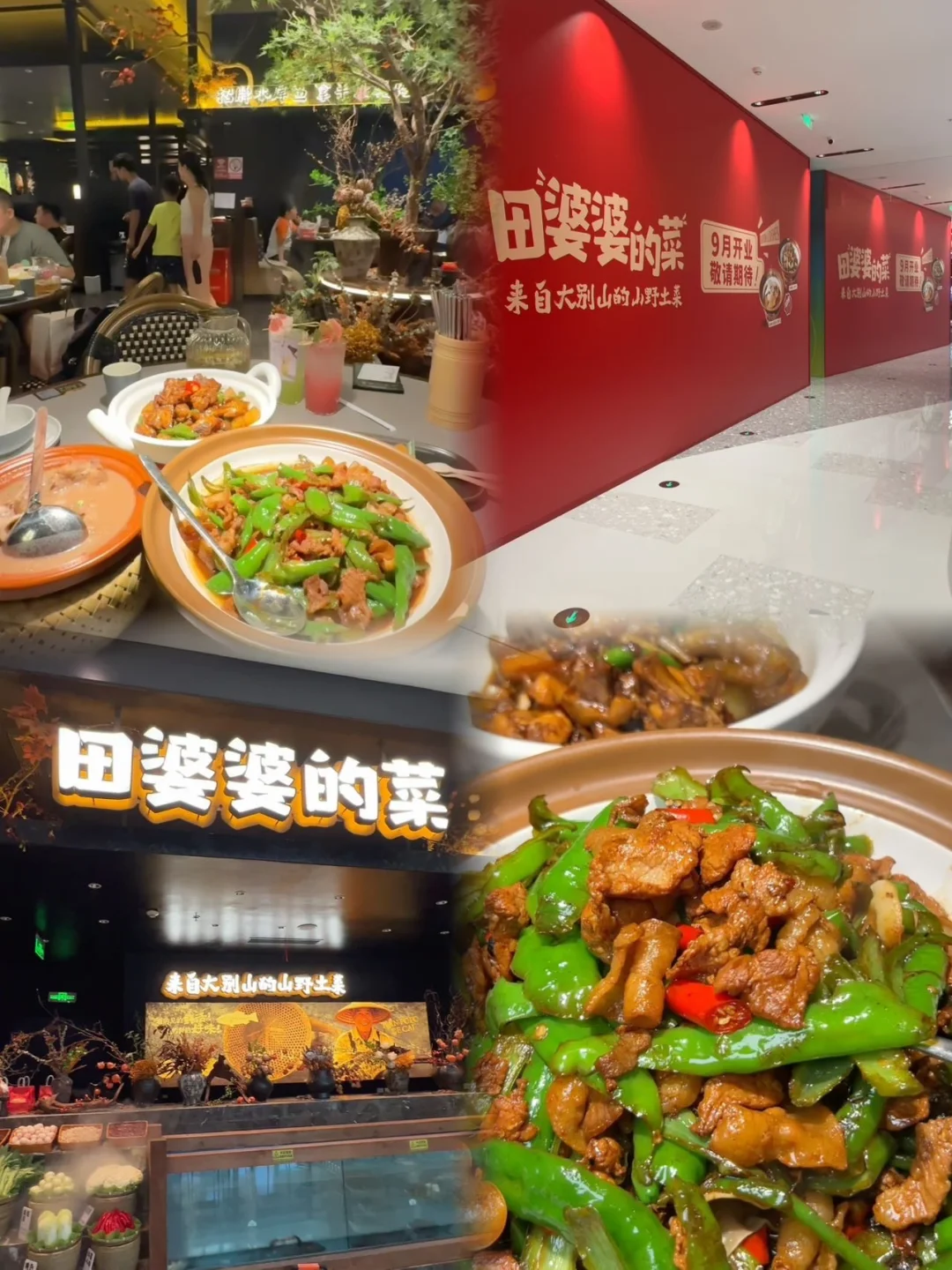 朋友小聚首选✅光环新开乡土菜馆！
