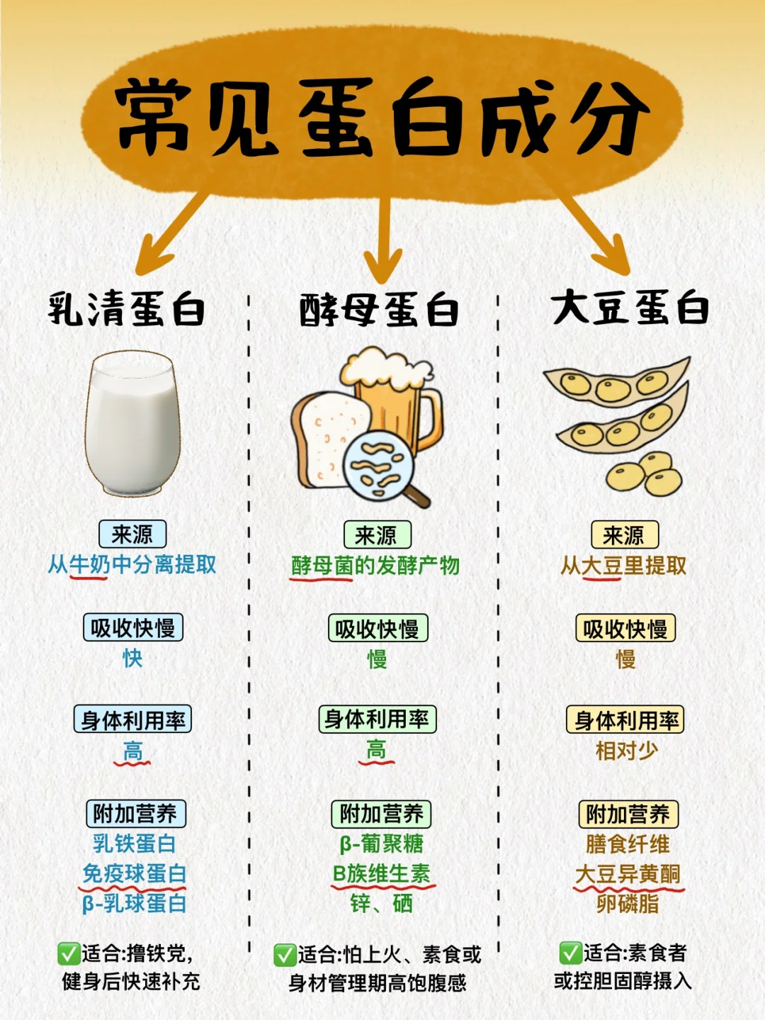 蛋白成分要按需求选择！超全蛋白成分干货