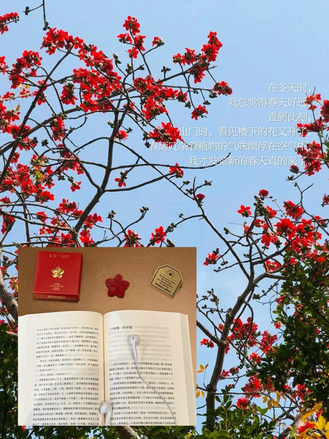 去看见 去生活 去缓慢度过一个春天