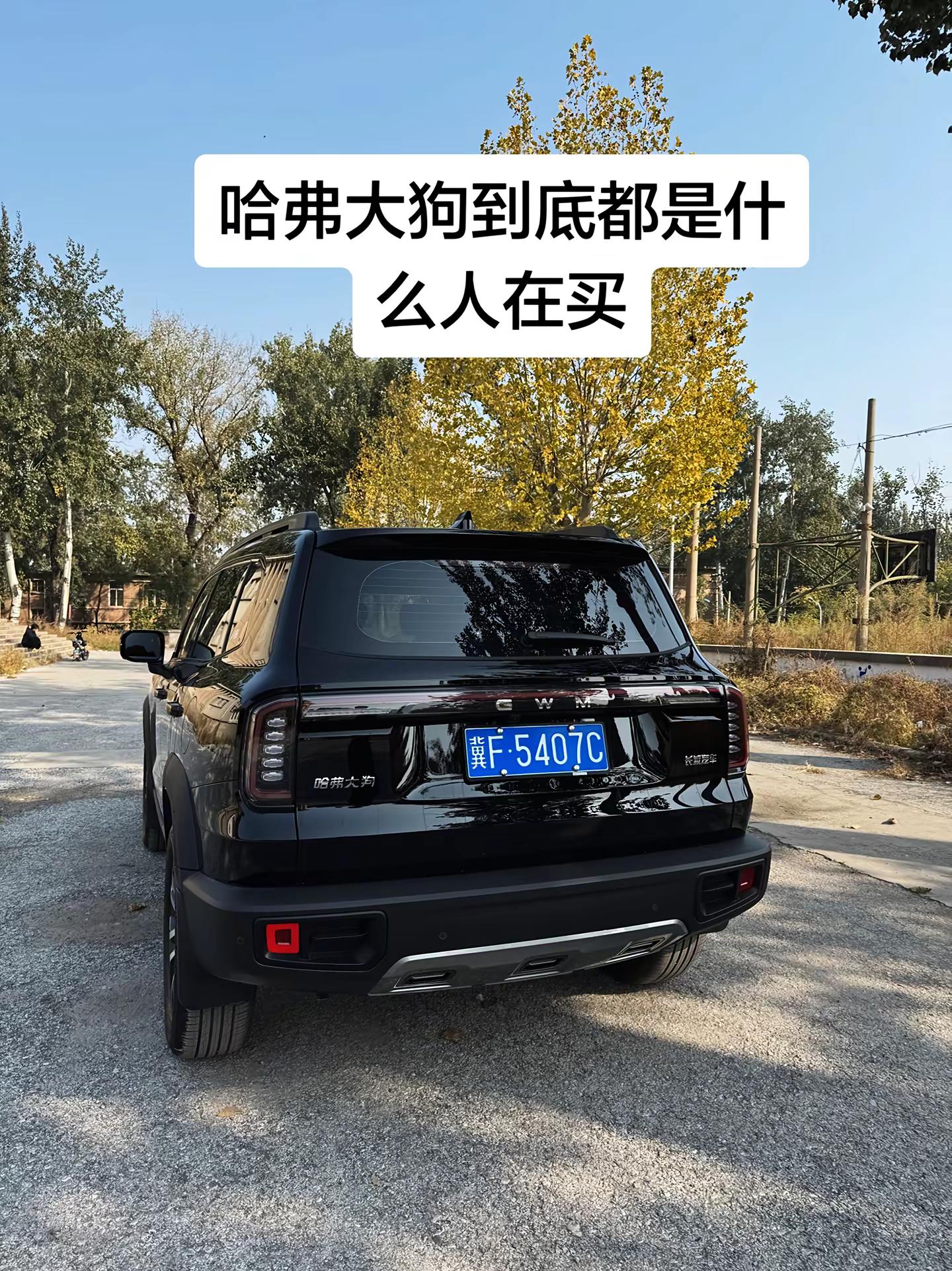 你们当初选择哈弗大狗的原因是什么哈弗大狗