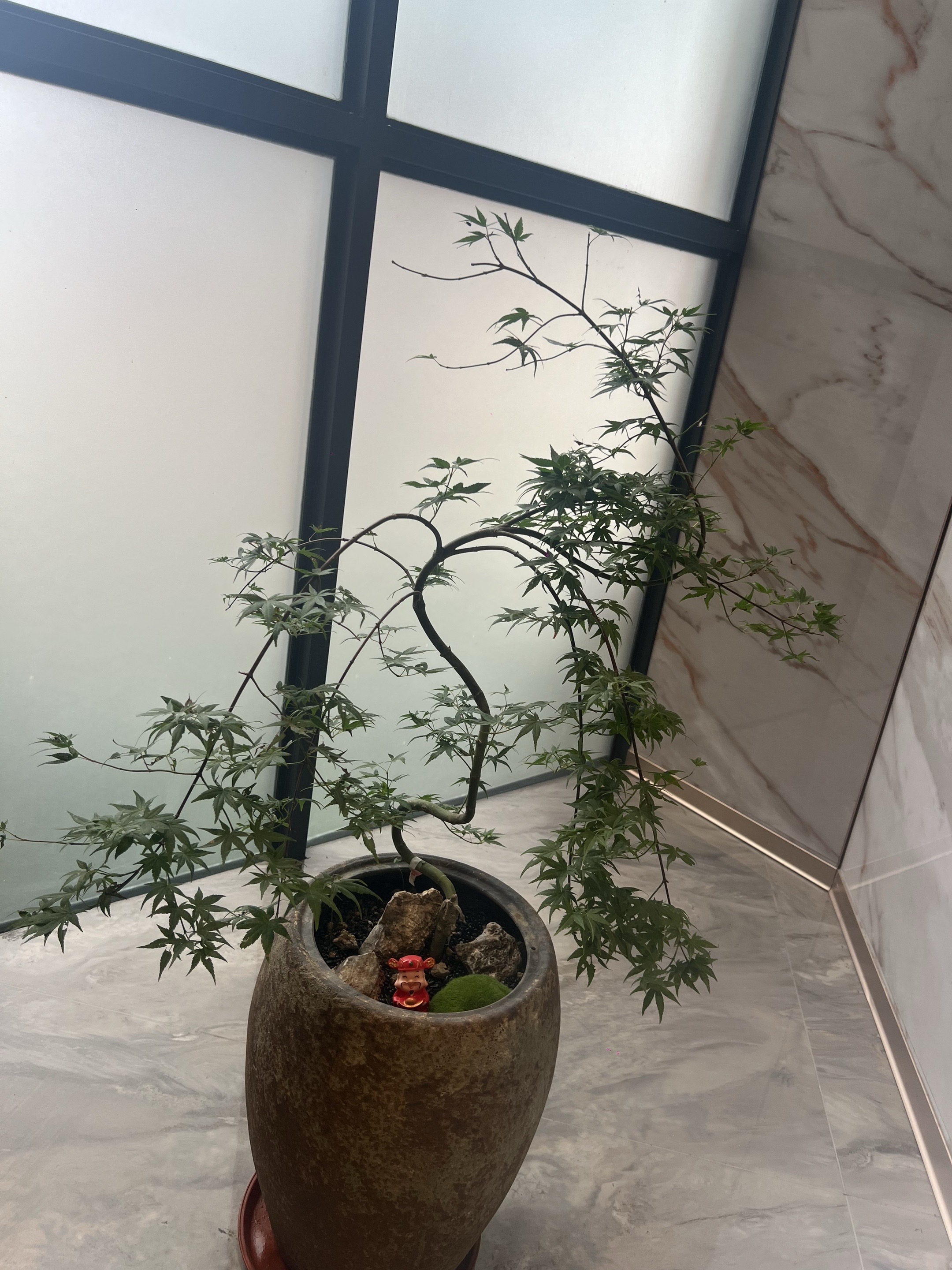 “成年人的分寸感 是一种点到为止的沉默！”