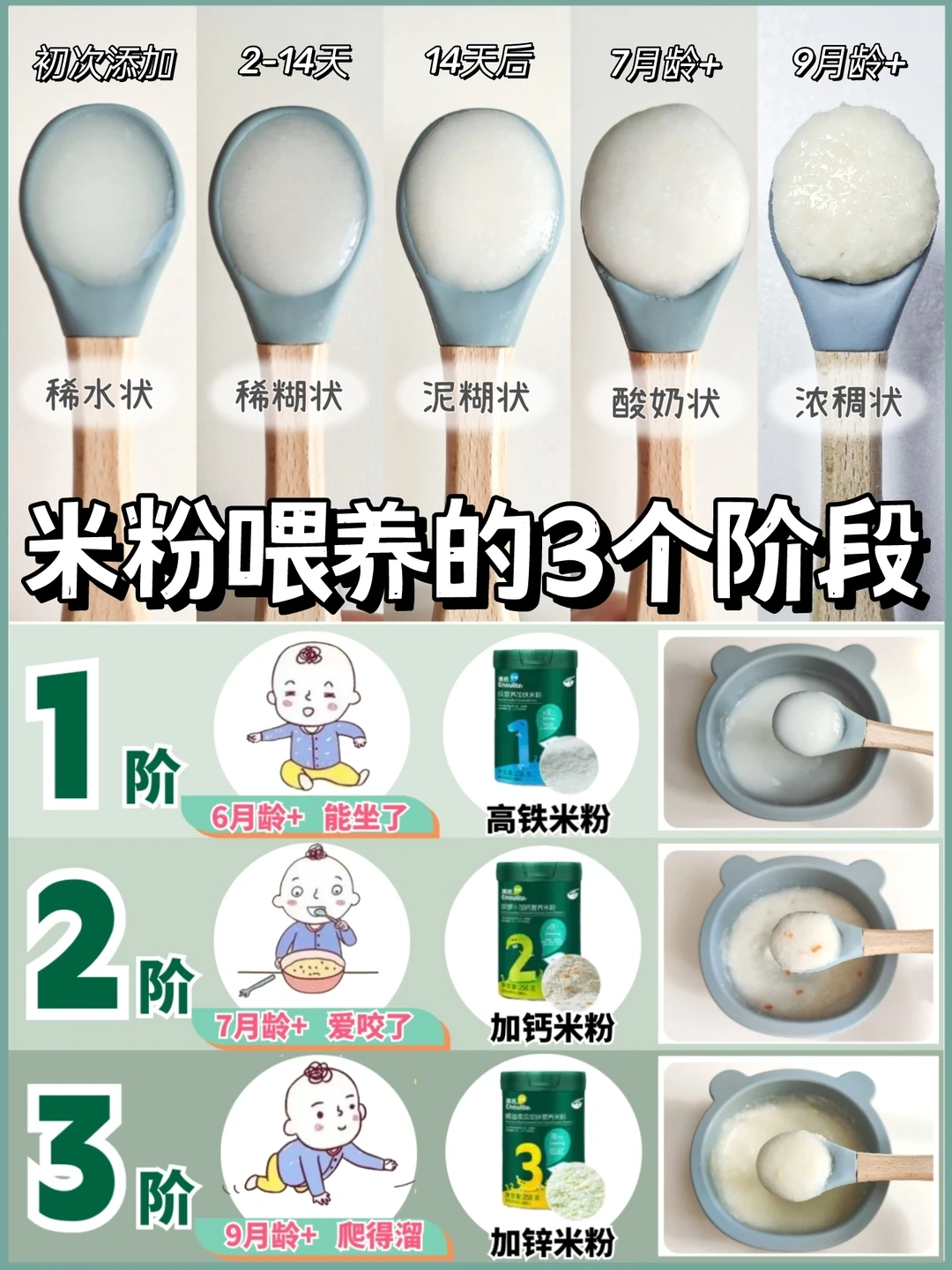 ⚠️米粉添加要注意！宝宝分阶喂养很重要！