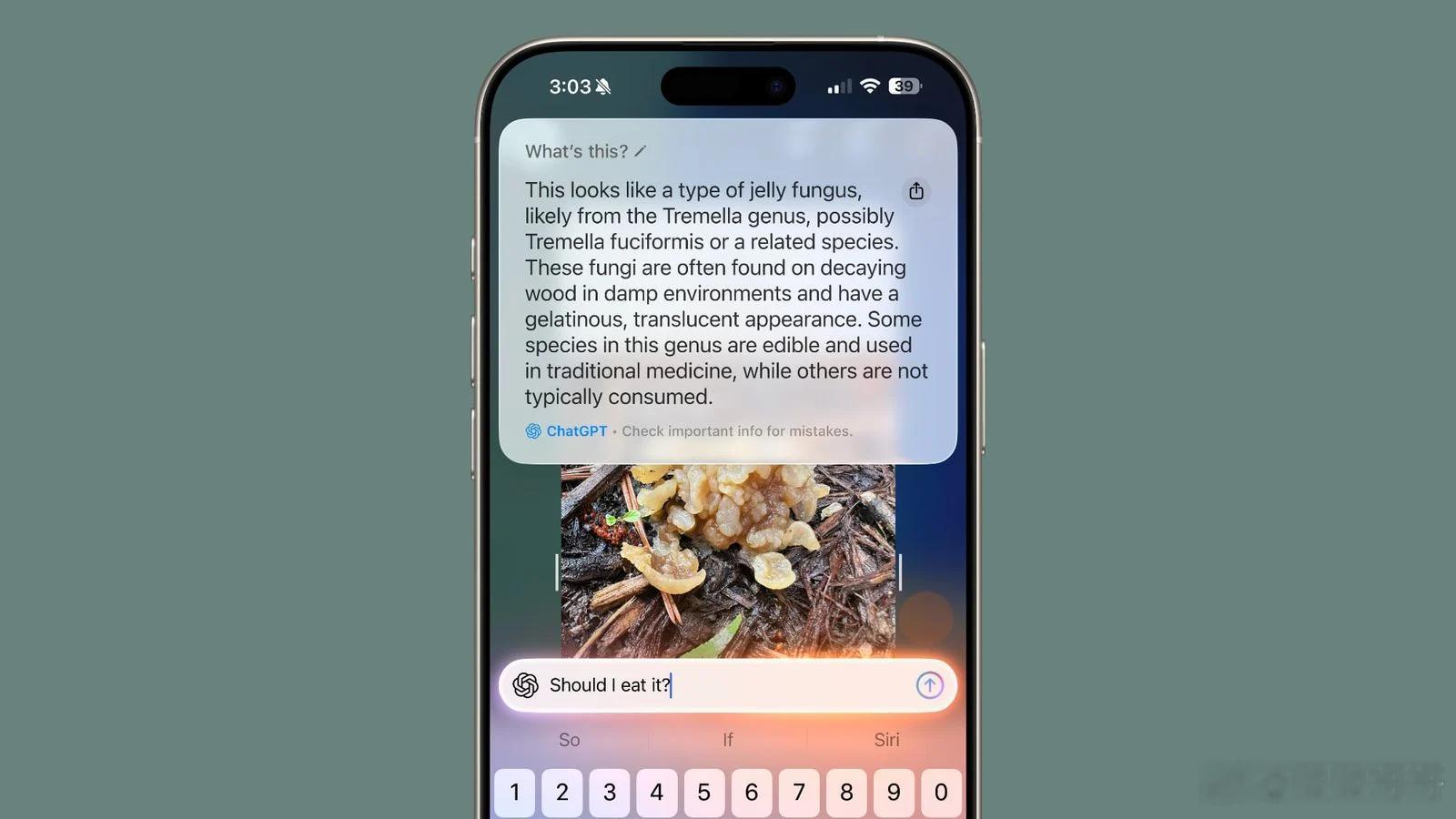 根据iOS 27中挖掘出的代码信息，Apple或许正在研究一种方案，允许搜索引擎在视觉智能功能内展示推广内容。

这一发现由MacRumors公布，并在社交平台发文表示，相关代码显示Apple计划由搜索引擎自主向视觉智能模块植入推广结果，而非由Apple直接售卖广告位，目前暂不清楚Apple是否会从中抽取广告收入分 ​