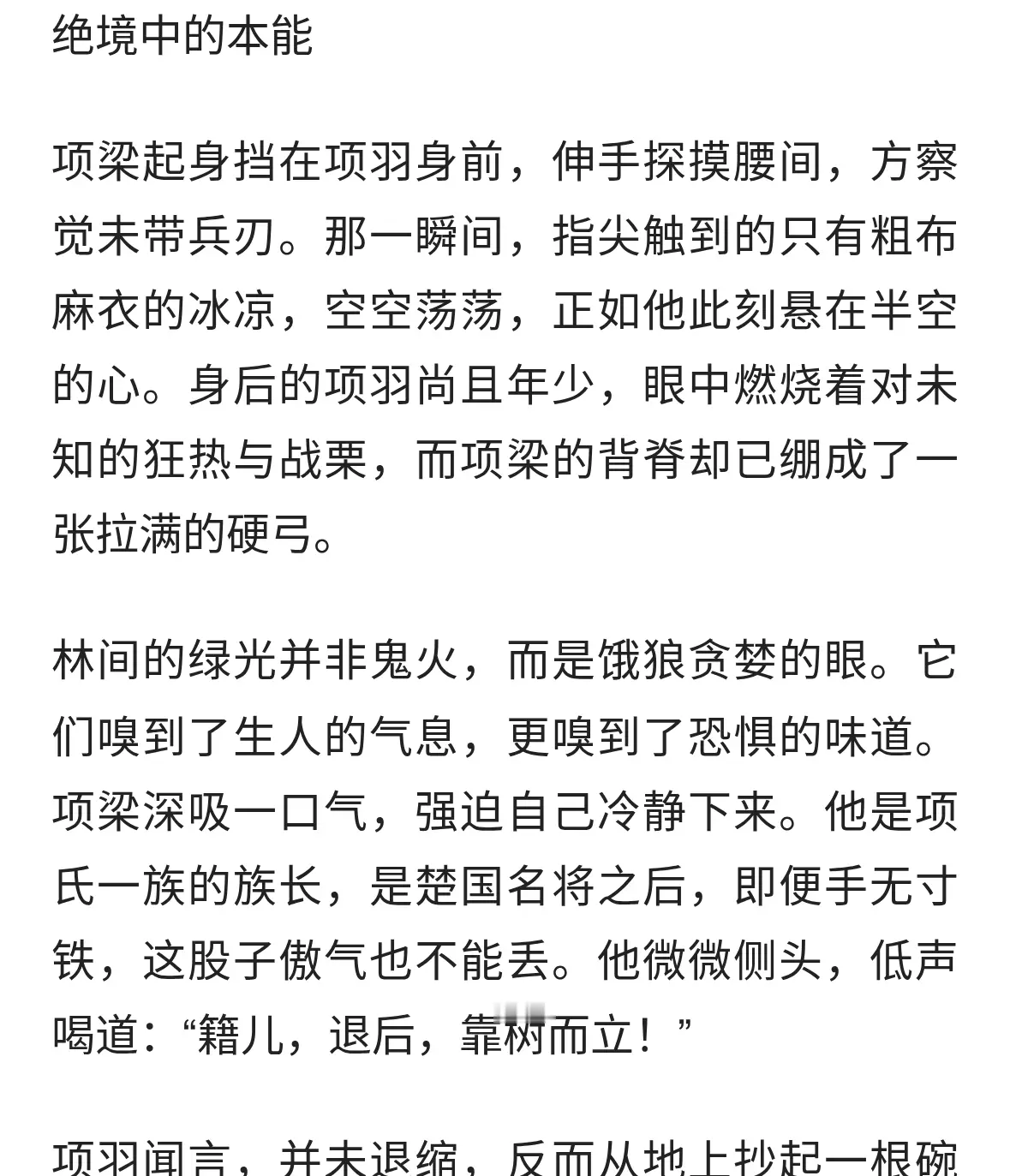 楚霸王项羽的故事（续）