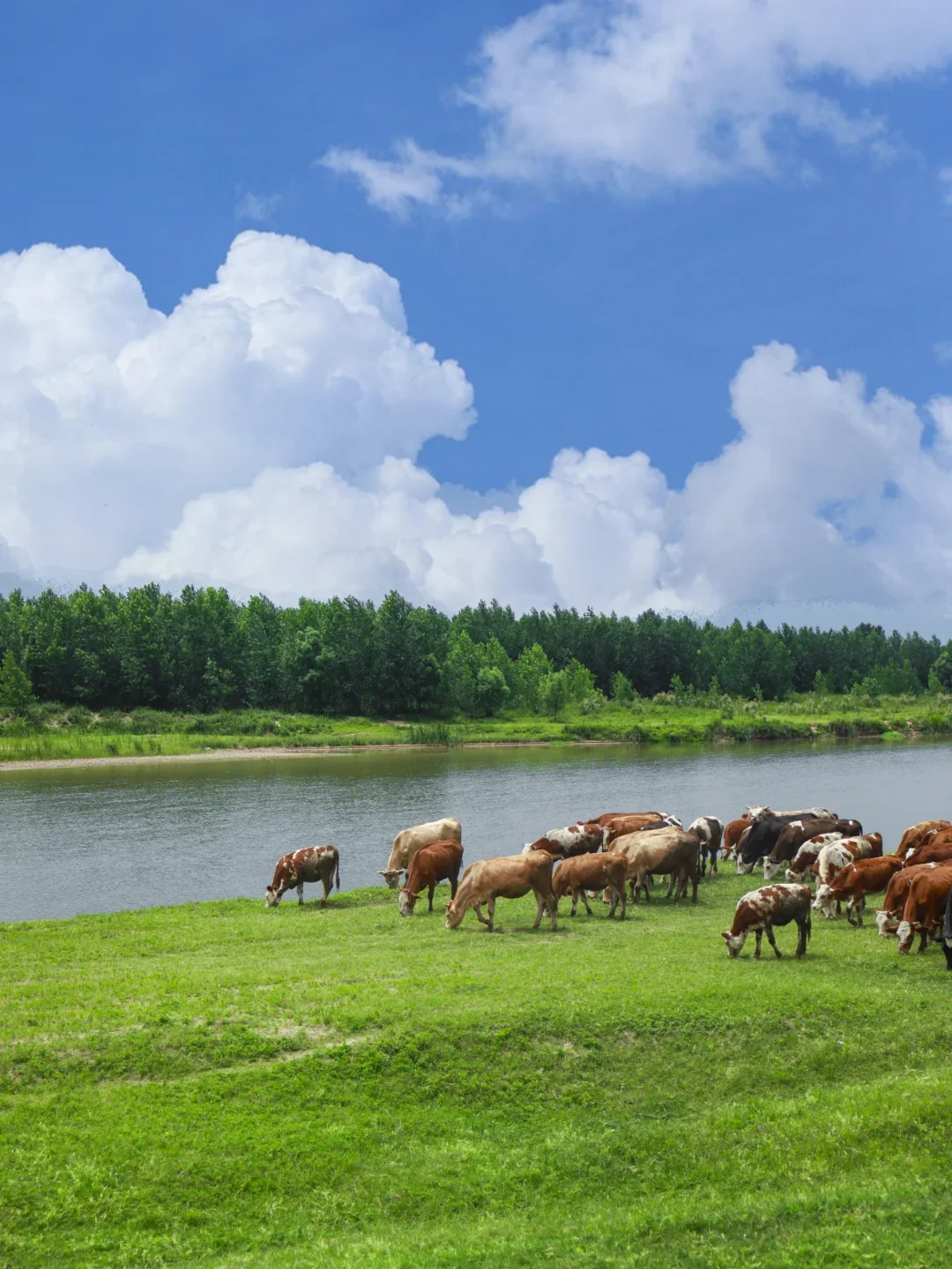 西安市区🚗30min！真的没去新疆！！
