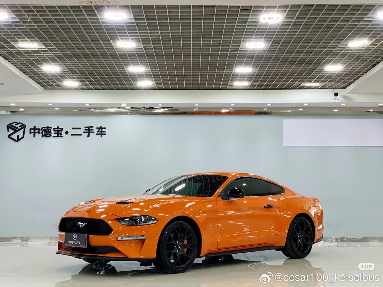 这辆开过的福特野马，2.3T的排量，应该是全车原版原漆，底盘紧凑，只不过是美系车的含金量，这台车绝对是很好开的 ​