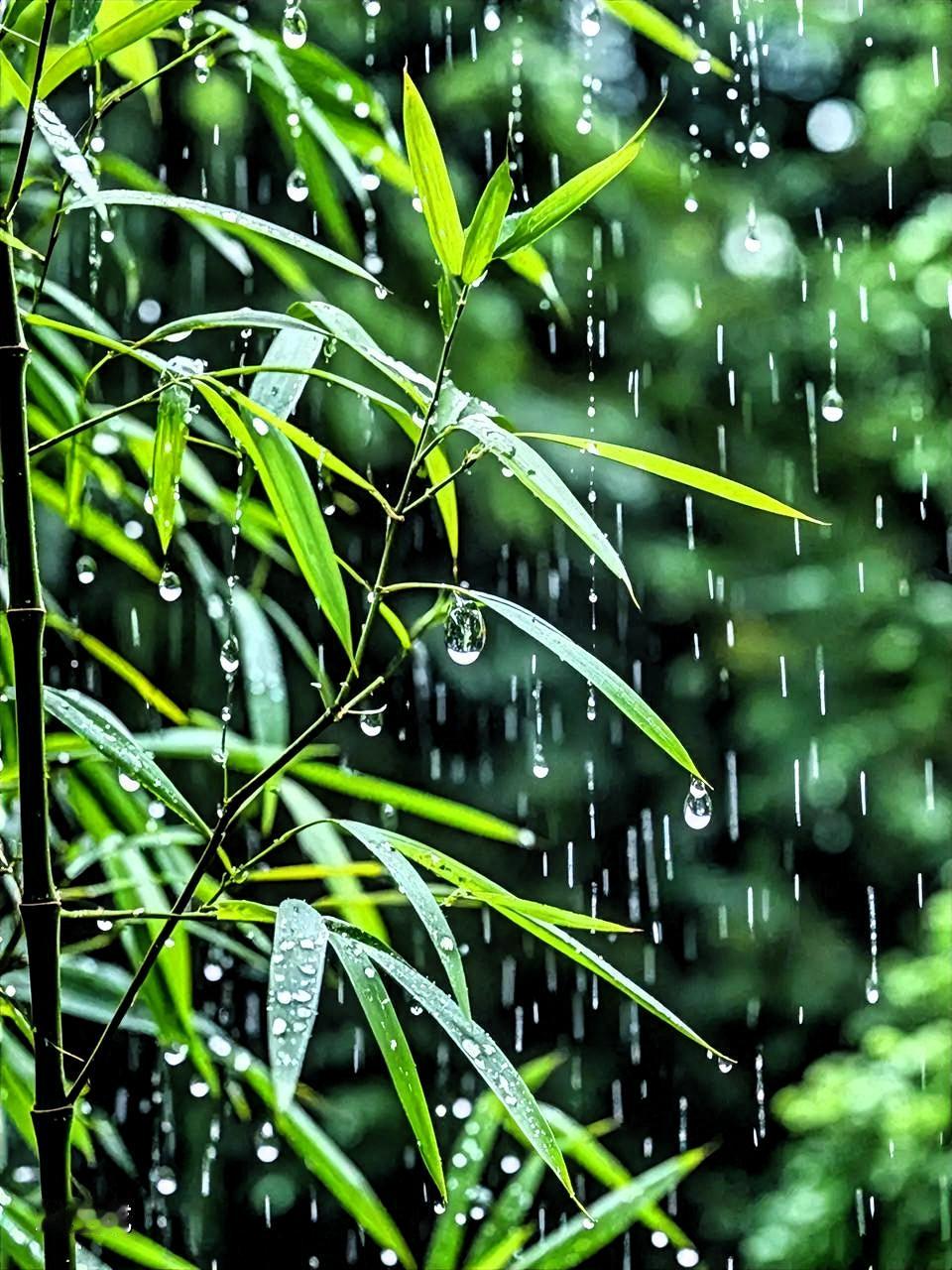 现在大家都追求“纯天然美女”，到底啥样才是呢？ 像杨贵妃那般的美流传千...