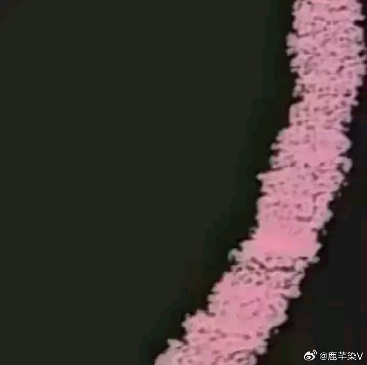 #白鹿[超话]# 为白鹿打卡第32天[打call] ​